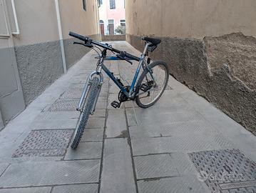 Mountain-bike da Uomo 