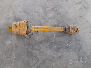 Cardano walterscheid