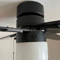 pala da soffitto con luce