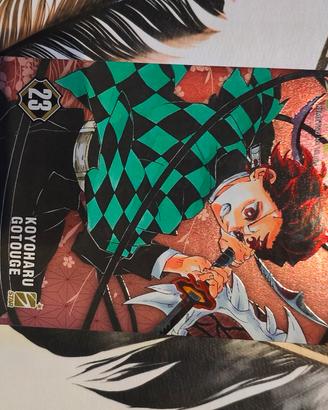 Demon Slayer Vol23 ed.speciale 