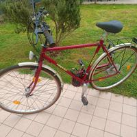 bicicletta uomo 