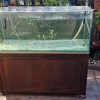 acquario 270lt con ruote