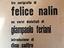 Immagine 5