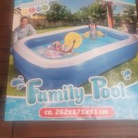 Piscina 262x175 h51