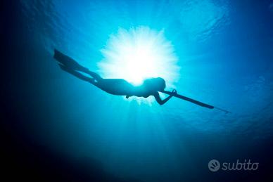 attrezzatura pesca in apnea