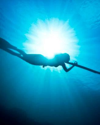 attrezzatura pesca in apnea
