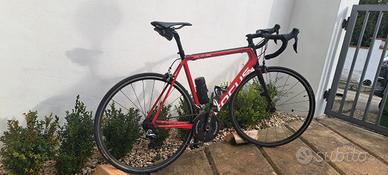 Focus Izalco Max Tg L