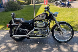 Harley-davidson 1200 Sportster Custom 95TH ANNIVER