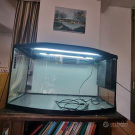 acquario