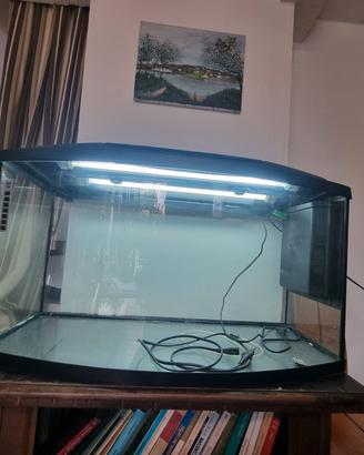 acquario