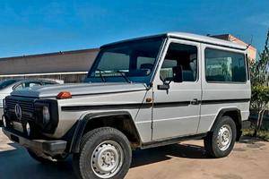 Mercedes 300 GD (W460) - 107.500 km - 5 Marce