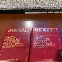 Dizionari Aldo Gabrielli