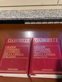 Dizionari Aldo Gabrielli