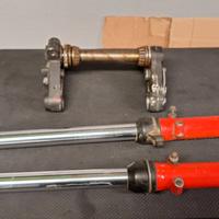 Forcelle e parafango per Fantic Trial 50 FM 330