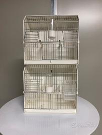 Gabbie x uccelli x esposizione