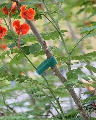 100 pezzi fascette giardinaggio giardino orto
