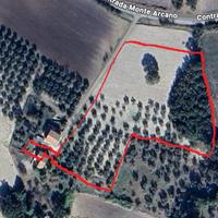 Terreno e fabbricato