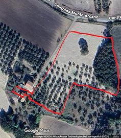 Terreno e fabbricato