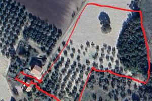 Terreno e fabbricato