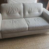 Divano in pelle divani e divani natuzzi 2 posti