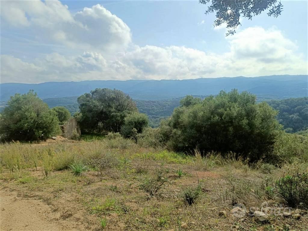 Terreno di 12000 m² a Monti - Vista 4
