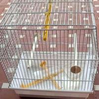 Gabbietta per volatili 