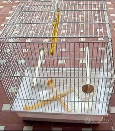 Gabbietta per volatili 