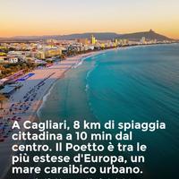 Casa vancanze mare Flamingo apartment