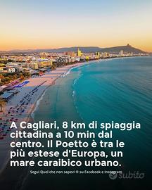 Casa vancanze mare Flamingo apartment