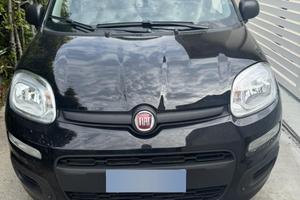 Pandina ibrida 1.0 69cv 2025