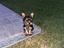 Immagine 1