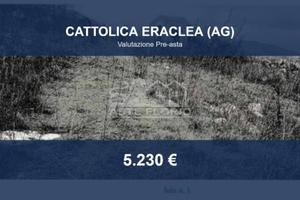Immobile in asta di 20690 m² a Cattolica Eraclea