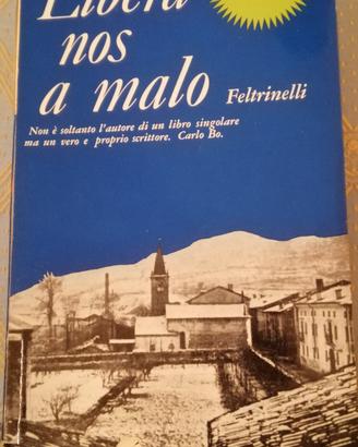 Libera nos a Malo, Luigi Meneghello 