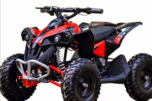 MiniQuad TIGER 2023 MiniCross Mini Quad Cross