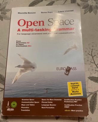 Open Space - Eserciziario di inglese