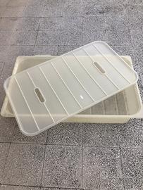 Scatola plastica con coperchio