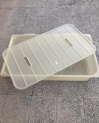 Scatola plastica con coperchio