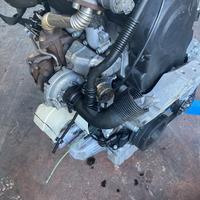 MOTORE Audi A2 8Z 1.4 55kW 75Cv AMF 2002