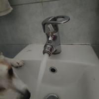 rubinetti grohe