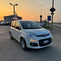 Fiat Panda 1.3 MJT S&S Easy Van 4 posti