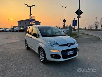 Fiat Panda 1.3 MJT S&S Easy Van 4 posti