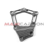 Cover pick-up carbonio BMW S 1000 RR 2012-2014