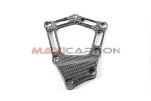 Cover pick-up carbonio BMW S 1000 RR 2012-2014