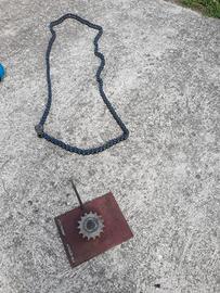 catena di trasmissione