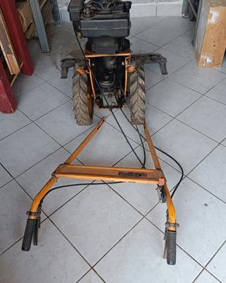 taglia prato a pettine 