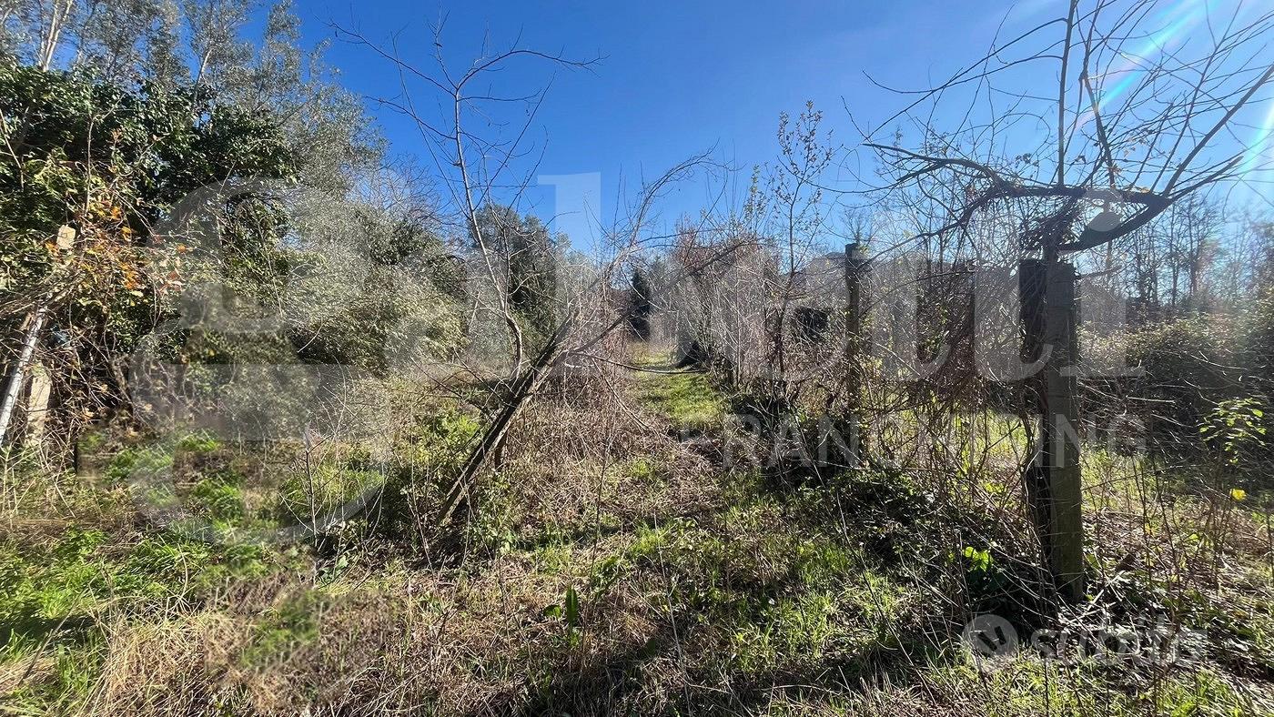 Terreno Agricolo Camigliano [Cod. rif 3298000VCG] - Vista 2