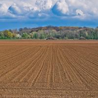 Terreno agricolo di 3,8 ettari