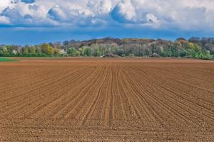 Terreno agricolo di 3,8 ettari