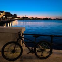 Wheelie Bike Bergamont 29" - Custom Setup (RockSho