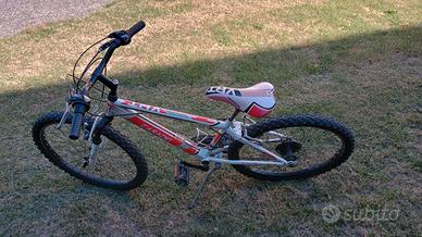 Bicicletta ragazzo Casadei Verical 24